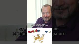 Черви-зомби и их странности