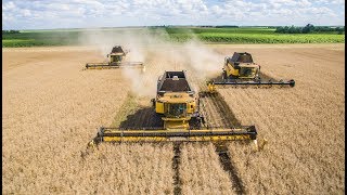 XXL Rapsernte 2018 - 3x New Holland CR9090 - Repce aratás 2018