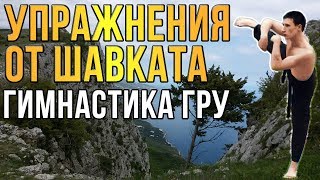 Гимнастика ГРУ В чем разница со спортом  Комплексы от Шавката
