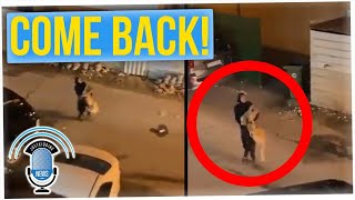Woman Captured on Video Carrying a Lion Back Home After it Escaped