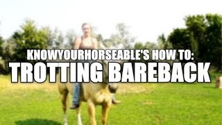 How To: Trotting Bareback