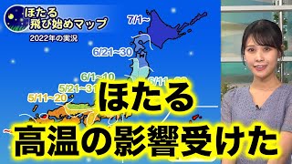 【蛍まとめ2022】見頃は春の高温の影響で平年並みか早かった