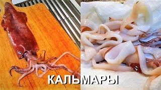 Кальмар Как Чистить Кальмары