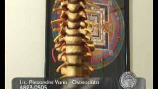 Alexandre Yano - Problemas de columna - Back Pain