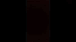 Vore rekwestz opin!