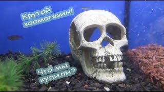 Животные в ХОРОШЕМ зоомагазине. Наши покупки
