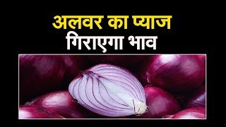 इन दिनों बाजार में प्याज महंगा,अलवर का प्याज गिराएगा भाव