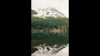 Pexels Videos 3445