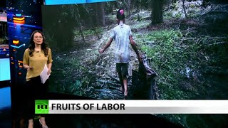 FULL SHOW: Child labor in palm oil industry tied to girl scout cookies