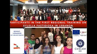 Xylella fastidiosa : first reg training in Lebanon