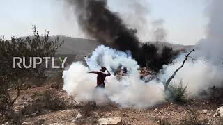 State of Palestine: Tear gas flies in anti-settlement protest in Beita
