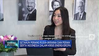 Perang Rusia-Ukraina dan Peran RI Dalam Krisis Energi Eropa