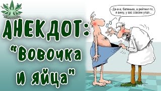 ПОШЛЫЕ АНЕКДОТЫ. Вовочка и яйца