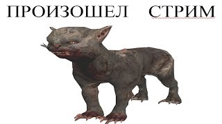 cs:govno с сабами