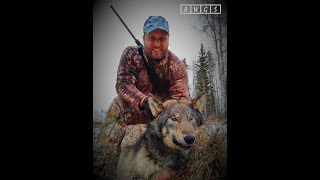 Trophy Timber Wolf Hunting with AWGS in Alberta, Canada - The Wolf Man Cometh