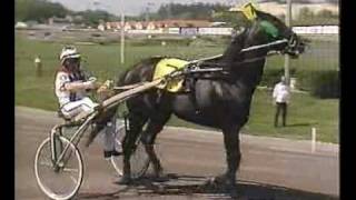 Elitloppet 1988 - The Elimination Heats