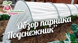 Обзор парника "Подснежник". Зачем парник осенью? #urozhainye_gryadki