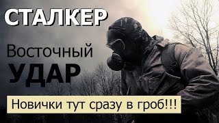 СТАЛКЕР | ВОСТОЧНЫЙ УДАР | НОВИЧКИ ТУТ СРАЗУ В ГРОБ (!!!)