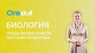 Биология 7 класс: Среды жизни и местообитание животных