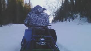 По лесу на модуле толкач. Мотобуксировщик МУЖИК