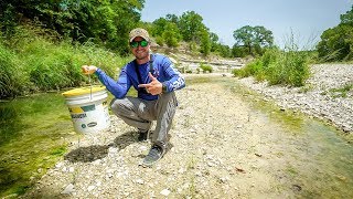 Saving Trapped Fish from Certain Death