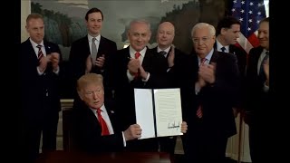 Почему Трамп на самом деле поддерживает Израиль?