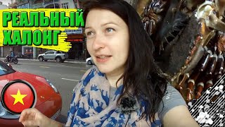 №10: ВЬЕТНАМ | ХАЛОНГ |  Рынки и трущобы | РЕАЛЬНЫЙ ВЬЕТНАМ | Вечерний Sun World