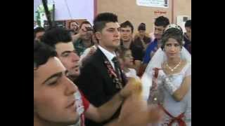 roj company  sabrl @ wansa