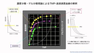 高圧濾過(高TMP)濾過でｱﾙﾌﾞﾐﾝﾘｰｸを増大させる5つのﾒｶﾆｽﾞﾑ(その2)_講演ｶｯﾄ_金成泰