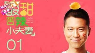 酸甜苦辣小夫妻  01（王雷、车晓主演）
