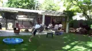 Girl falls into a pool while messing around