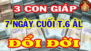 3 Con Giáp Bất Ngờ Được Thần Tài BAN LỘC VÀNG Tiền Tỷ Đổ Về Nhà Trả Sạch Nợ Cuối Tháng 6 ÂL