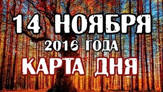 ТАРО гадание онлайн - КАРТА ДНЯ -  14 ноября 2016