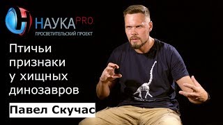 Павел Скучас - Птичьи признаки у хищных динозавров
