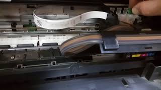 Обнуление чипа принтер epson xp-100
