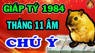 Tử Vi Tháng 11 Âm Lịch Giáp Tý 1984 May Mắn, Giàu Có Hay Vận Hạn Thế Nào?
