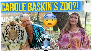 ‘Tiger King’s’ Carole Baskin Awarded Joe Exotic’s Zoo (ft. Tim Chantarangsu)