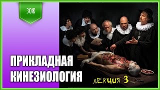 Замечательная лекция по прикладной кинезиологии! часть 3