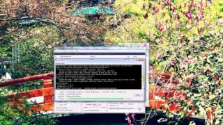How to Convert MOV to AVI