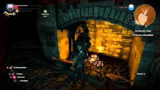 The Witcher 3 The Witcher's Forge Glitch
