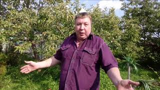 Анекдот про насильника!Смех. Юмор. Ржачь. Приколы.