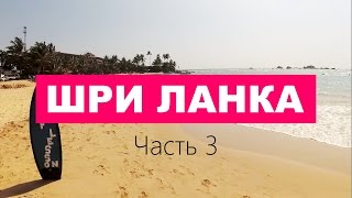 Шри Ланка. Серфинг, черепахи и чайная фабрика. Без крабов.