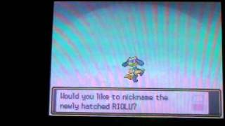 LIVE Shiny Riolu on Heart Gold!!! (Masuda Method) After Only 84 Eggs!!! (12-20-10)