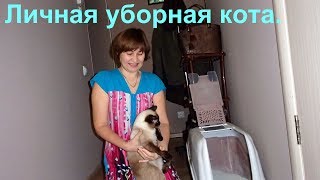 Кошачья уборная (очень удобный кошачий туалет)