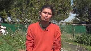 Troubles "psy" , des troubles mal digérés, seconde partie - www.regenere.org