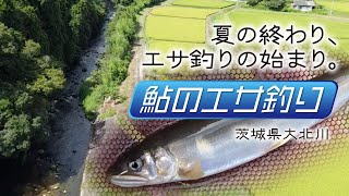 [ラセン式]　鮎のエサ釣り　茨城県大北川