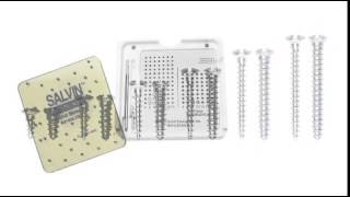 Bone Fixation Screw System