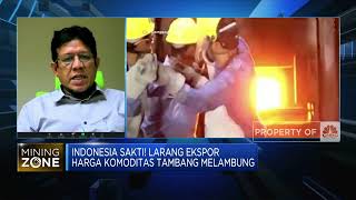 Ekspor Dilarang, Industri Lokal Siap Serap Mineral Mentah?