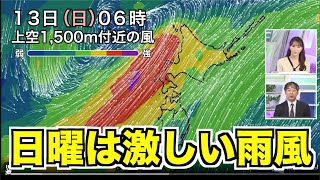 日曜日は局地的に激しい雨 30m/s超の暴風のおそれも