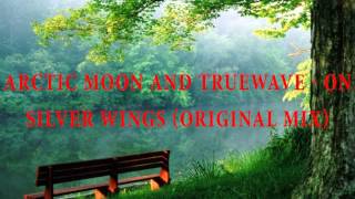 Arctic Moon And Truewave - On Silver Wings (Original Mix)